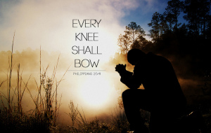 8697083321_7d3979d8d0_b