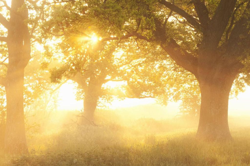 LET US BE THE&nbsp;CHANGE