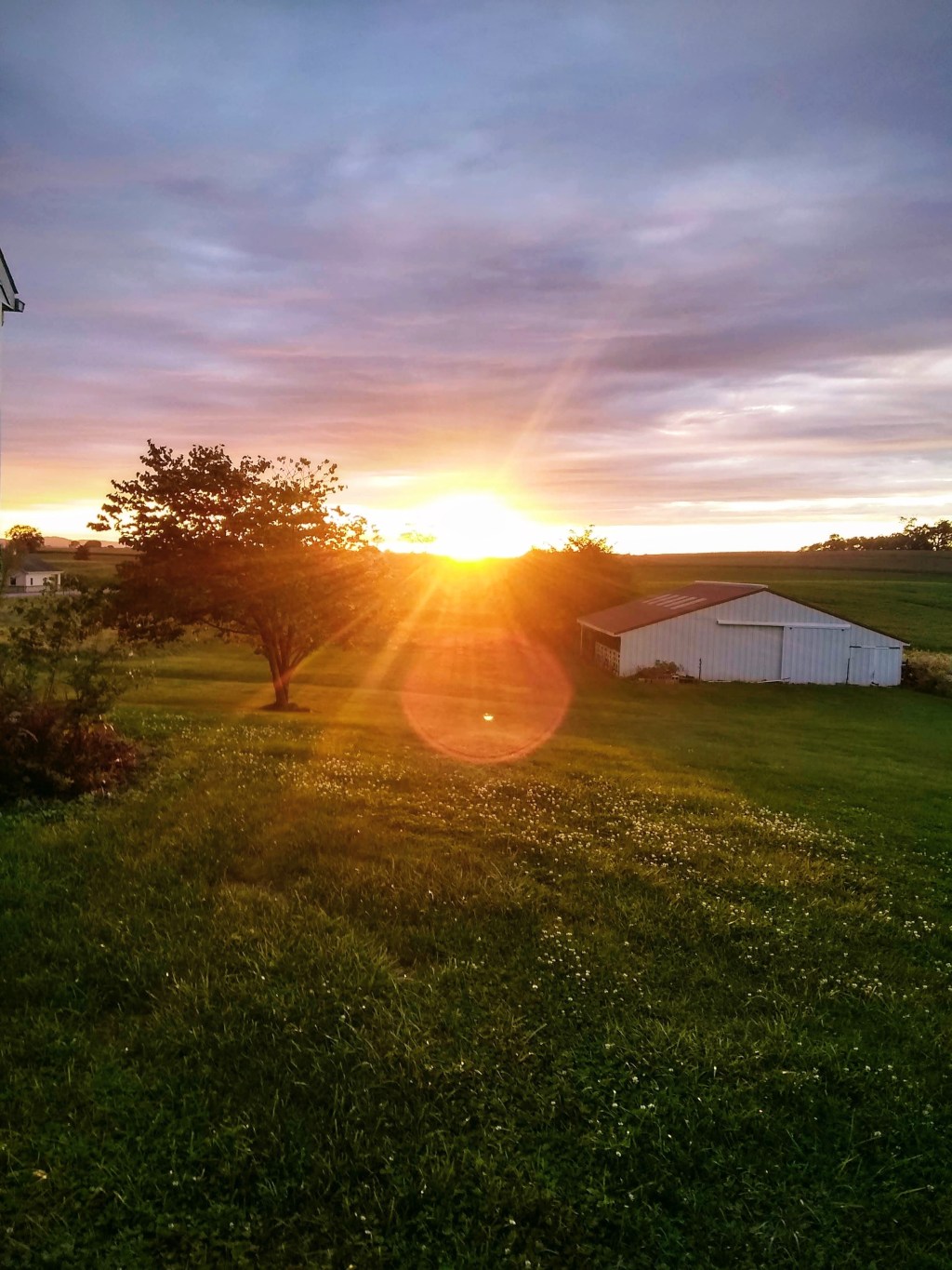 I Am a “kingdom man” by martin s.&nbsp;loose