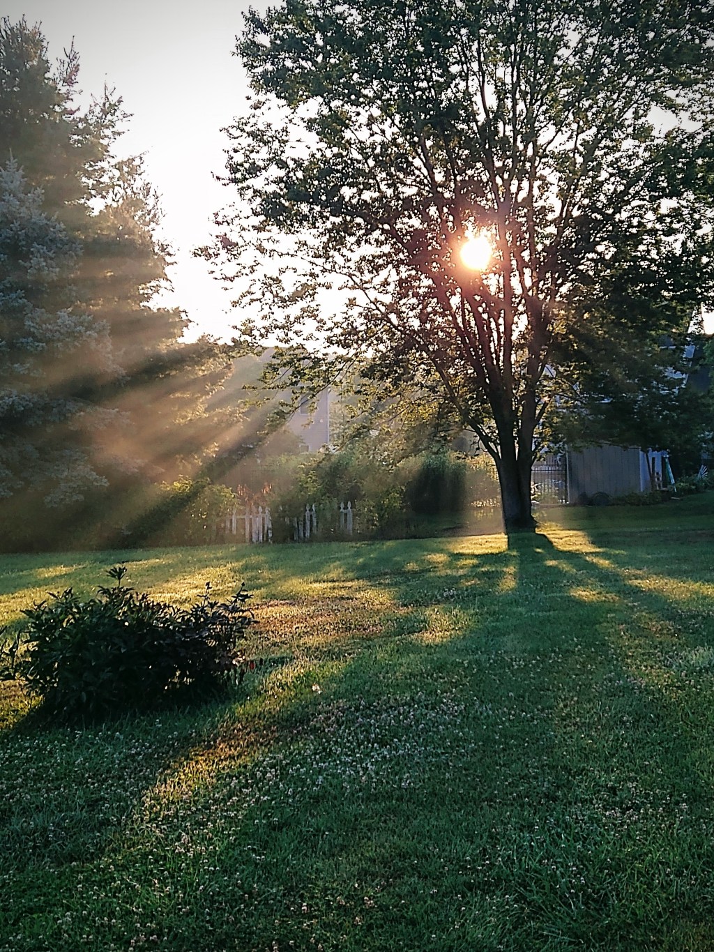 “SEEK GOD FIRST”